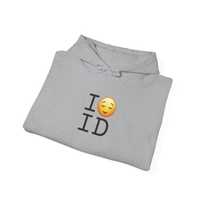 "I'm Relieved about Idaho" Hoodie