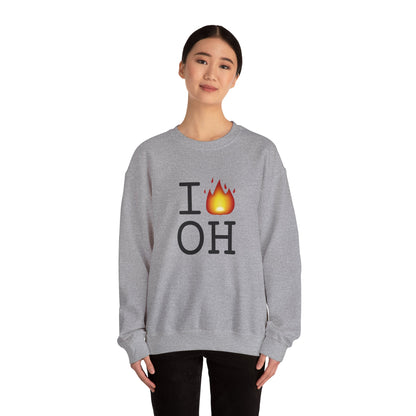 "I've got Fire for Ohio" Sweatshirt