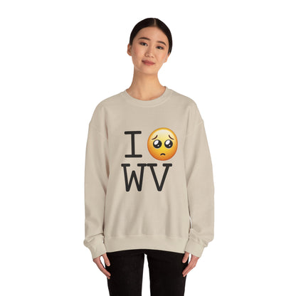 "I'm Begging about West Virginia" Sweatshirt