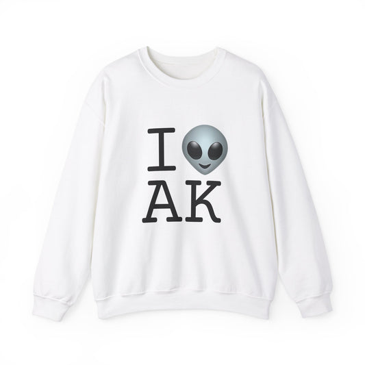 "I Feel Alien in Alaska" Sweatshirt