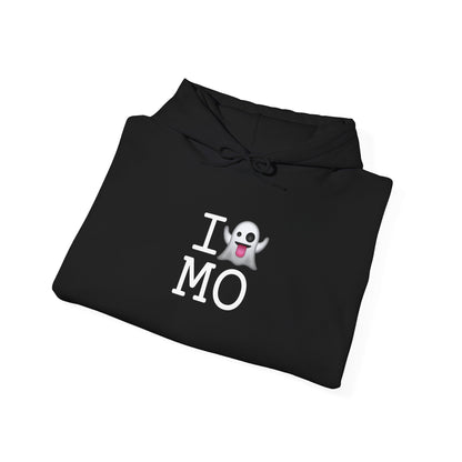 "I'm Ghosting Missouri" Hoodie
