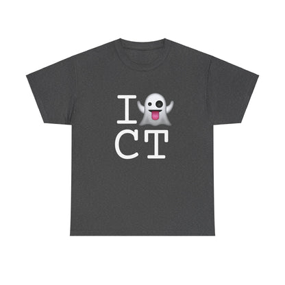 "I'm Ghosting Connecticut" Tee