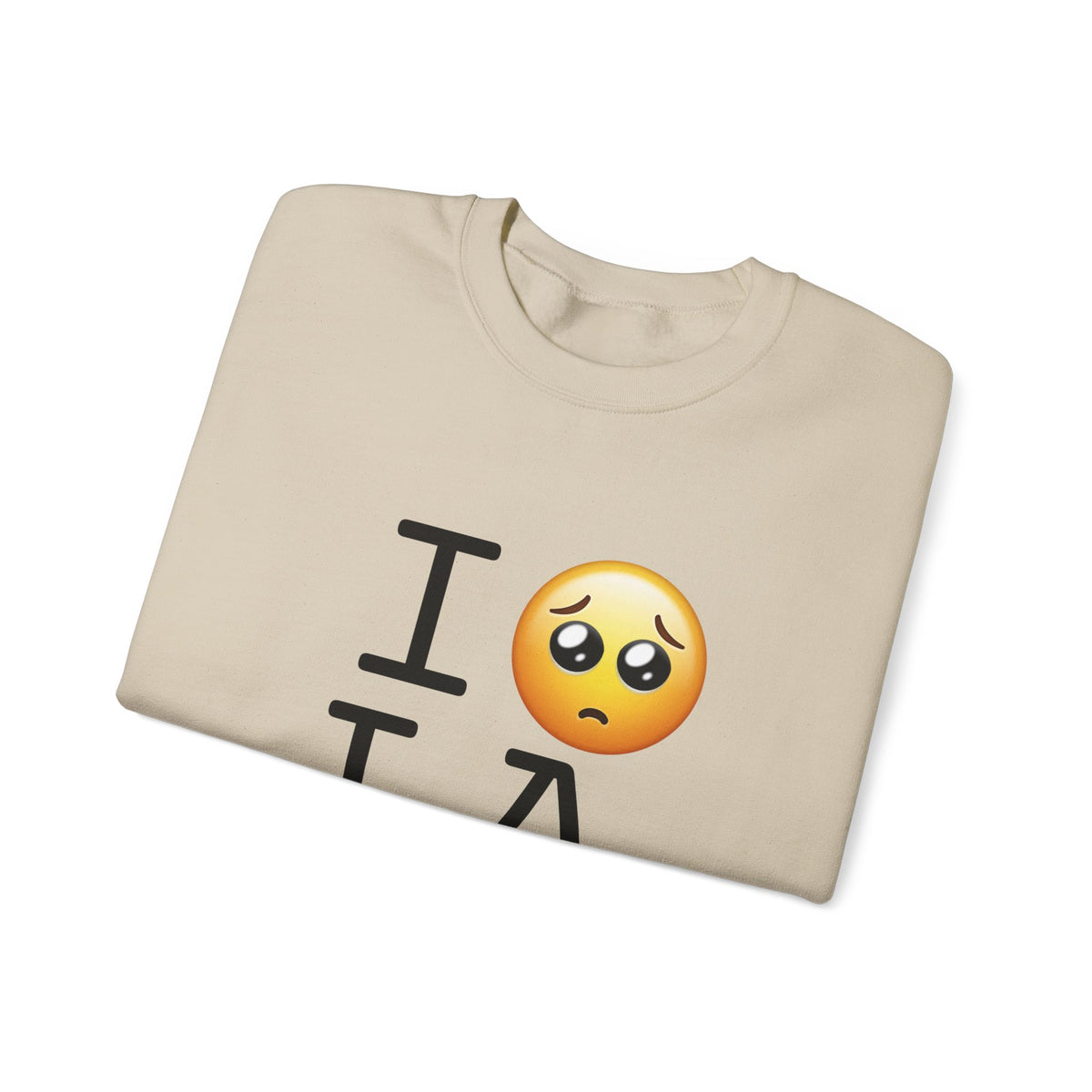 "I'm Begging about Louisiana" Sweatshirt