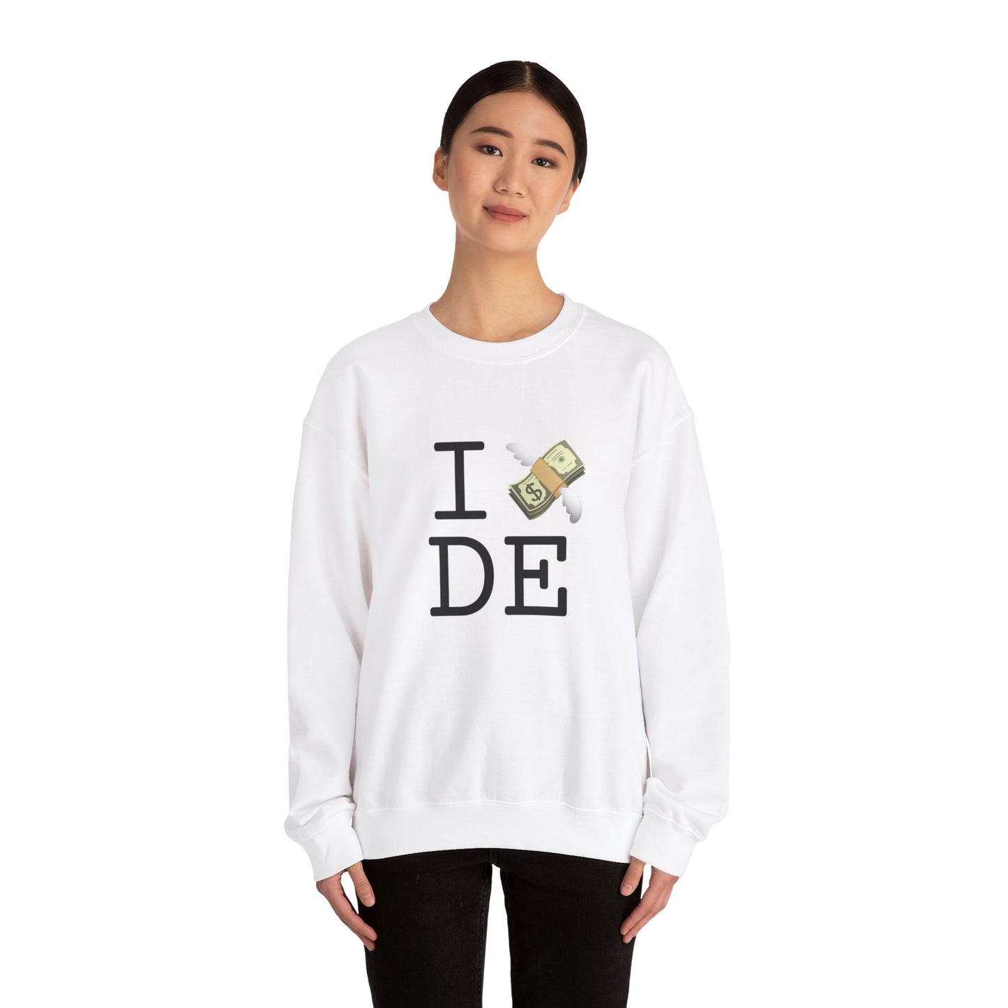 "I Lose Money in Delaware" Sweatshirt