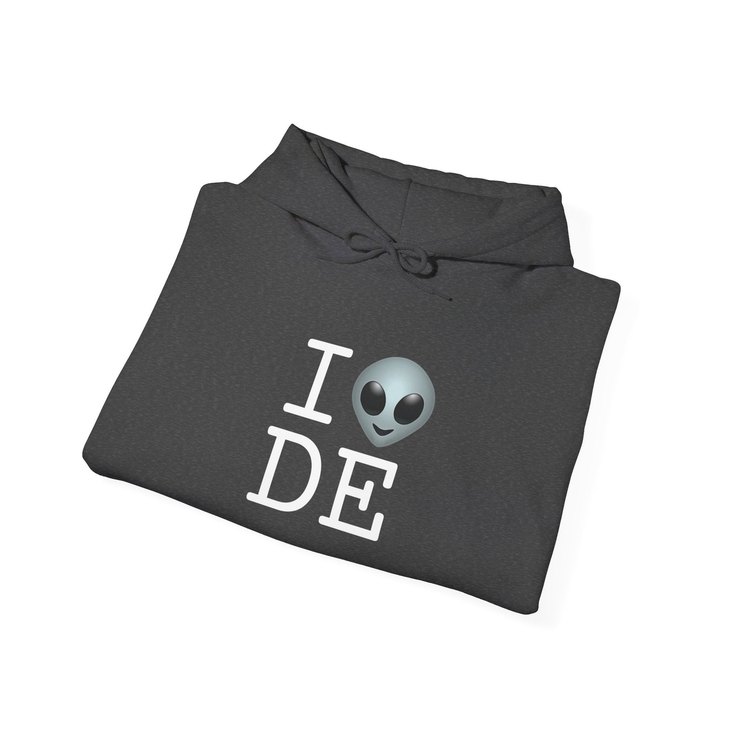 "I Feel Alien in Delaware" Hoodie