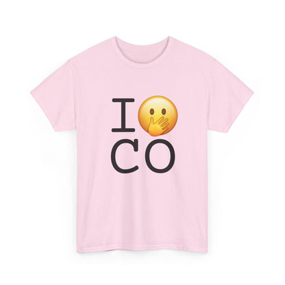 "I Messed Up (Oops) in Colorado" Tee