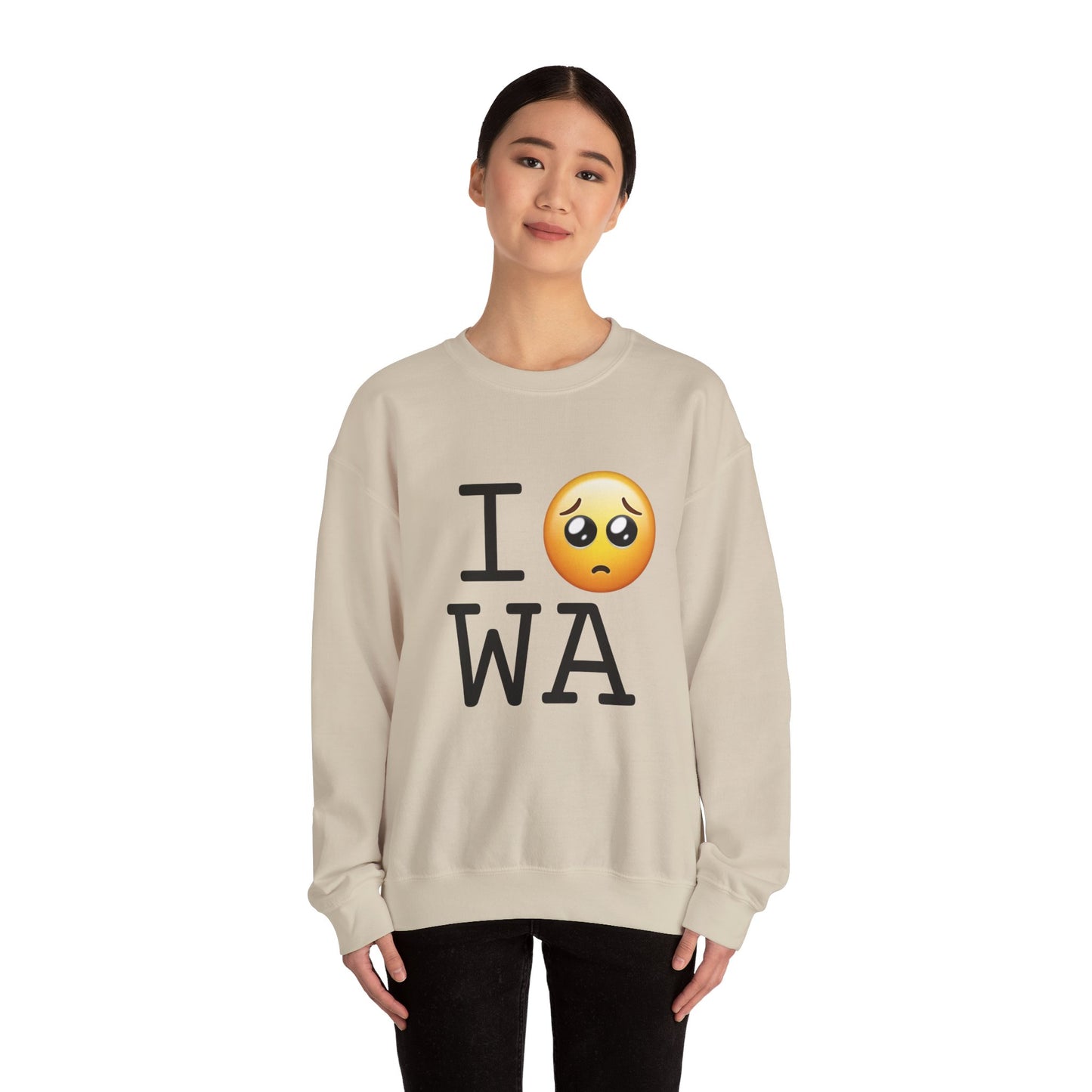 "I'm Begging about Washington" Sweatshirt