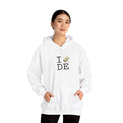 "I Lose Money in Delaware" Hoodie