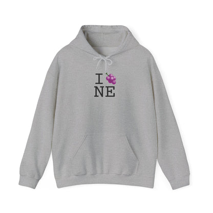 "I Grape Nebraska" Hoodie