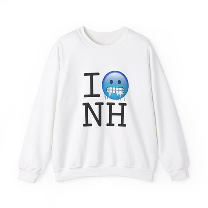 "I'm Cold in New Hampshire" Sweatshirt