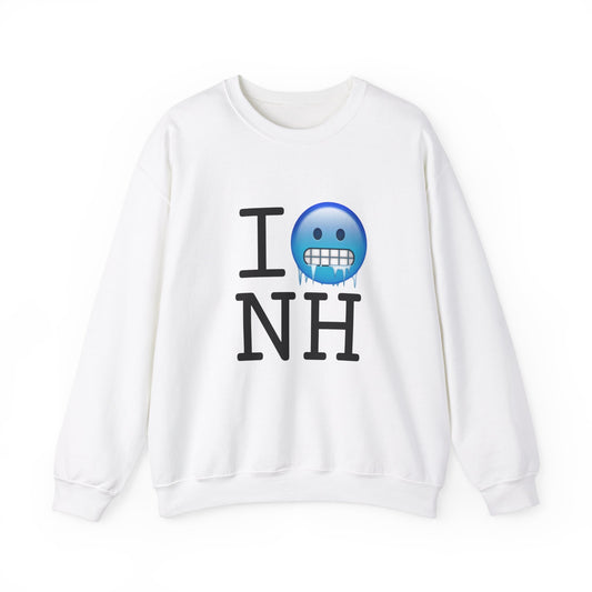 "I'm Cold in New Hampshire" Sweatshirt