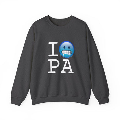 "I'm Cold in Pennsylvania" Sweatshirt