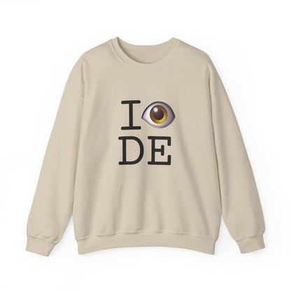"I See (Eye) Delaware" Sweatshirt