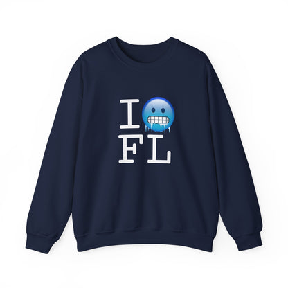 "I'm Cold in Florida" Sweatshirt