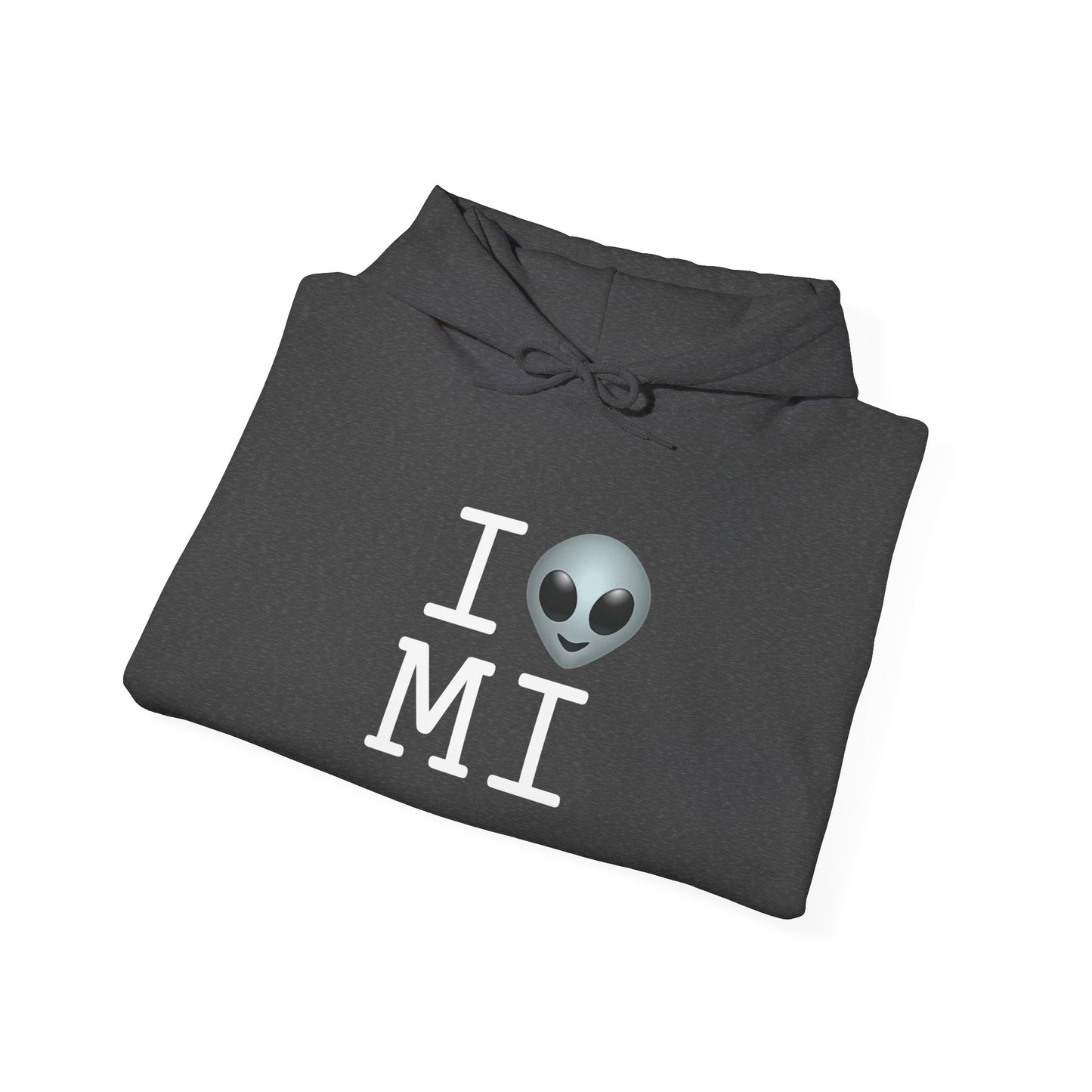 "I Feel Alien in Michigan" Hoodie