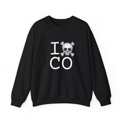"I'm a Pirate in Colorado" Sweatshirt