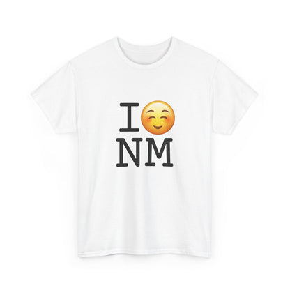 "I Blush at New Mexico" Tee
