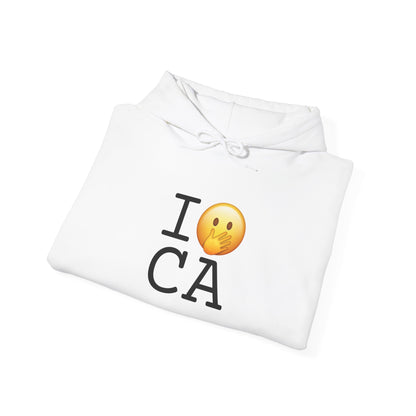 "I Messed Up (Oops) in California" Hoodie
