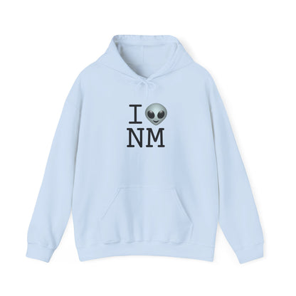 "I Feel Alien in New Mexico" Hoodie