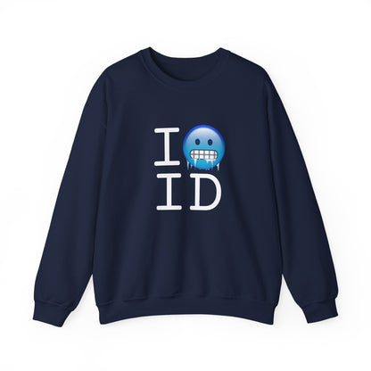 "I'm Cold in Idaho" Sweatshirt
