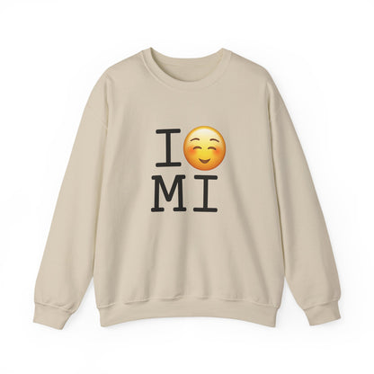 "I Blush at Michigan" Sweatshirt