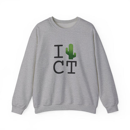 "I Cactus Connecticut" Sweatshirt