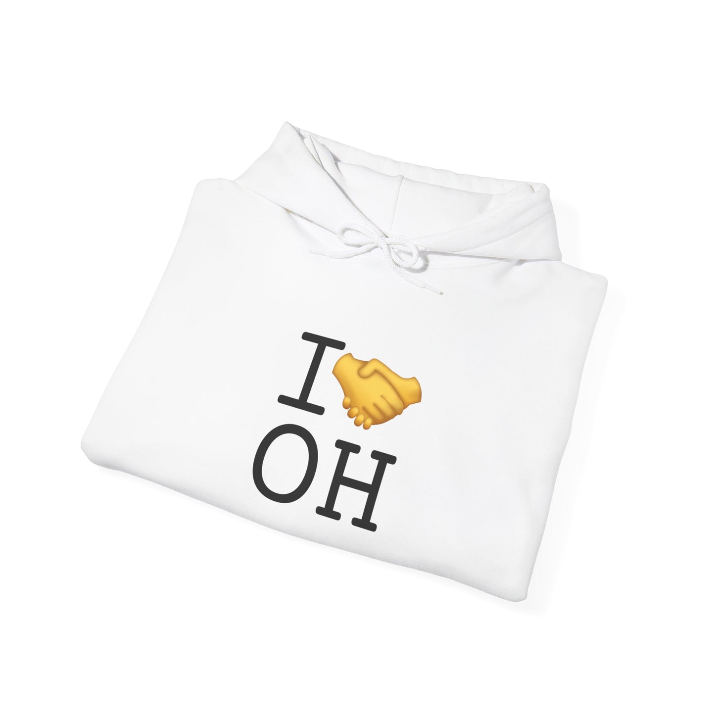 "I Have an Arrangement with Ohio" Hoodie