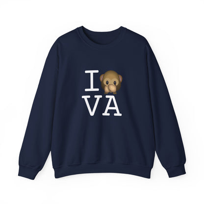 "I Don't Speak about Virginia" Sweatshirt