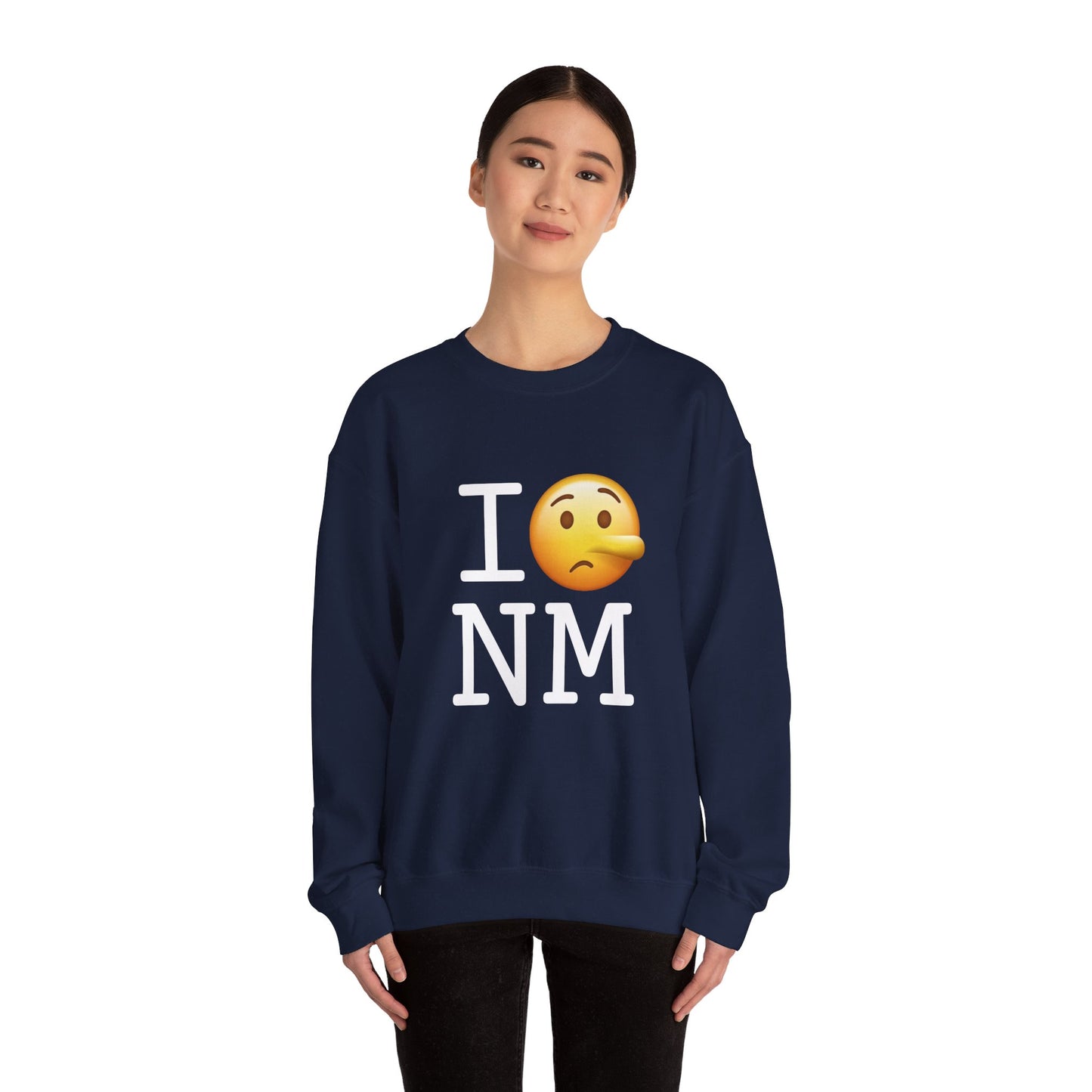 "I Lie about New Mexico" Sweatshirt