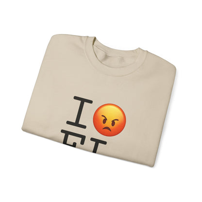 "I'm Angry about Florida" Sweatshirt