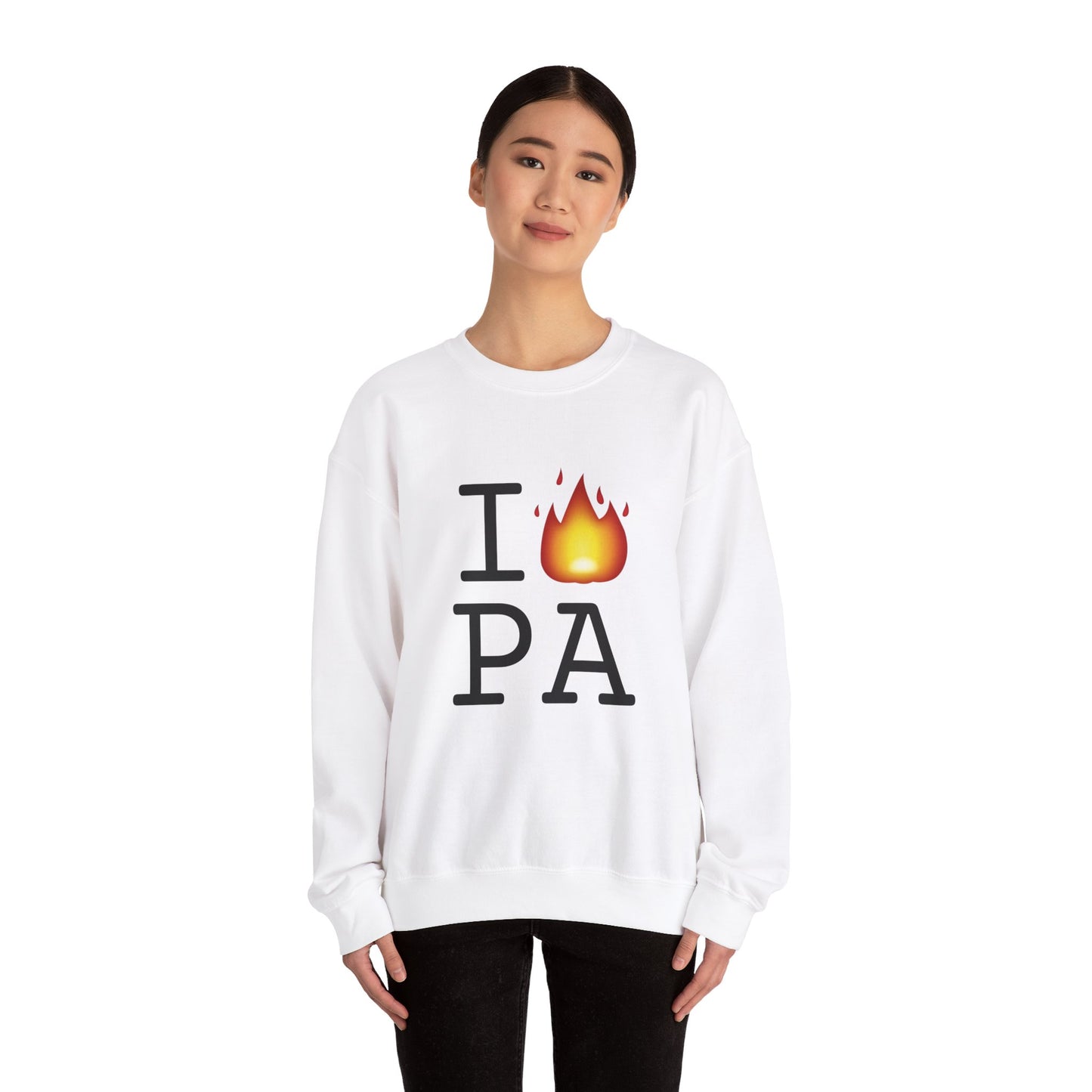 "I've got Fire for Pennsylvania" Sweatshirt