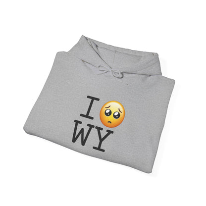 "I'm Begging about Wyoming" Hoodie