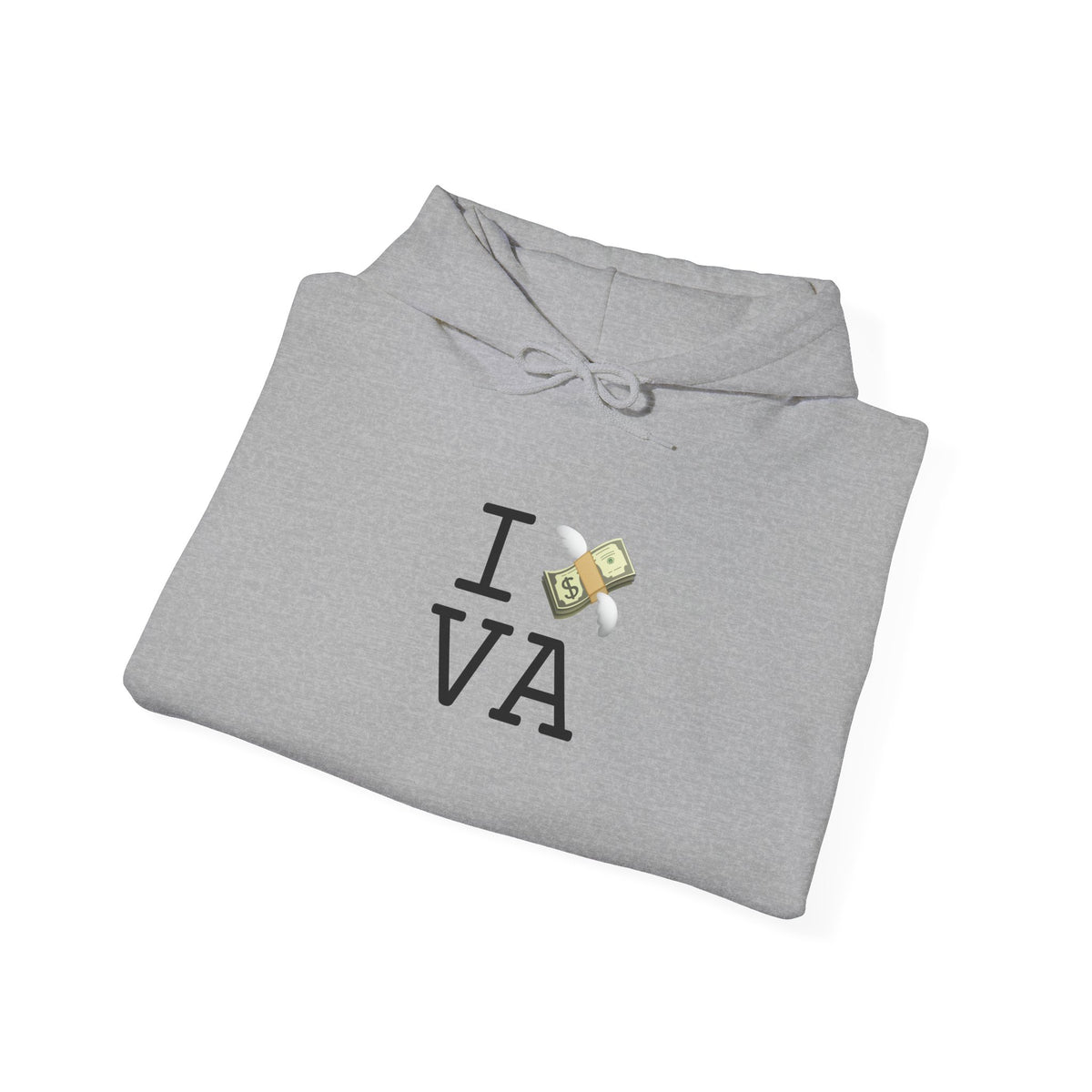 "I Lose Money in Virginia" Hoodie