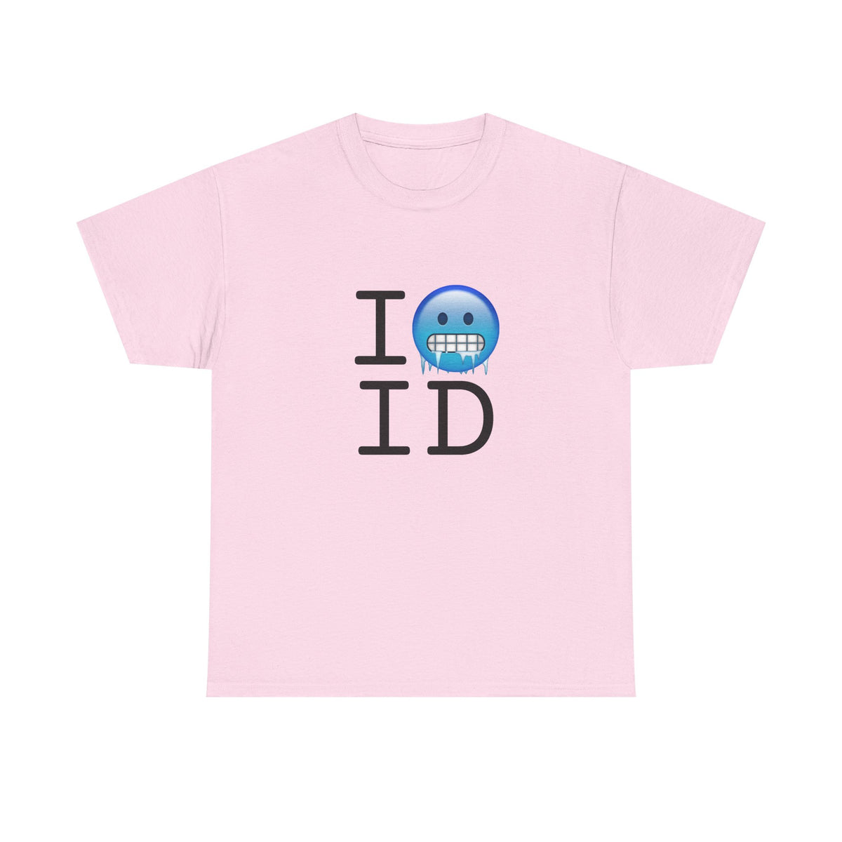 "I'm Cold in Idaho" Tee