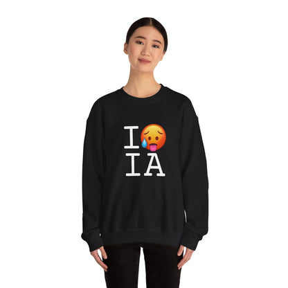 "I'm Hot in Iowa" Sweatshirt