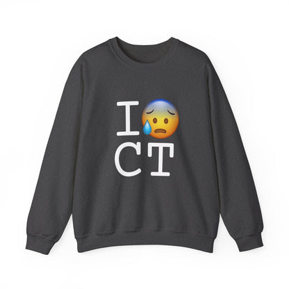 "I'm Anxiously Sweating in Connecticut" Sweatshirt