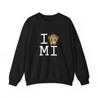 "I Don't Speak about Michigan" Sweatshirt