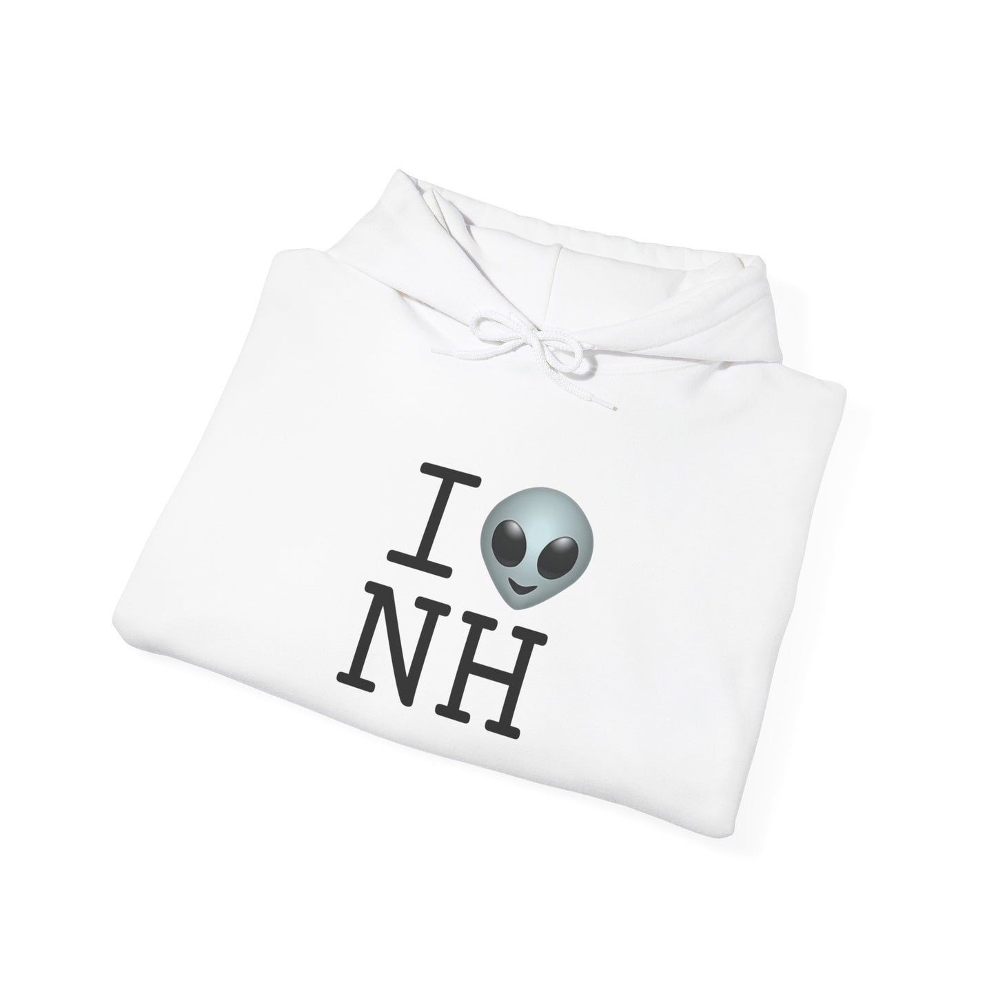 "I Feel Alien in New Hampshire" Hoodie