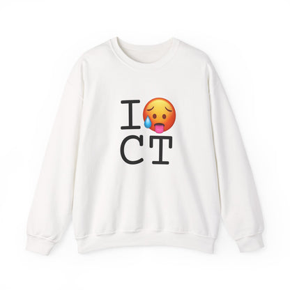 "I'm Hot in Connecticut" Sweatshirt