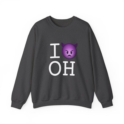 "I'm an Angry Devil about Ohio" Sweatshirt