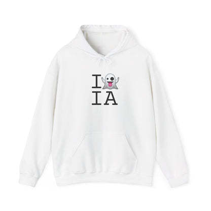 "I'm Ghosting Iowa" Hoodie