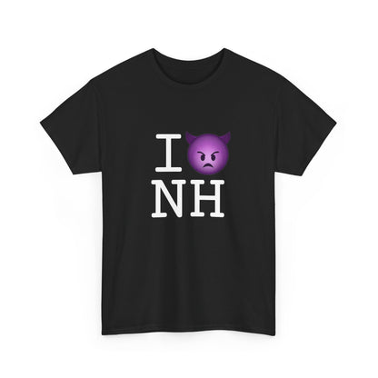 "I'm an Angry Devil about New Hampshire" Tee