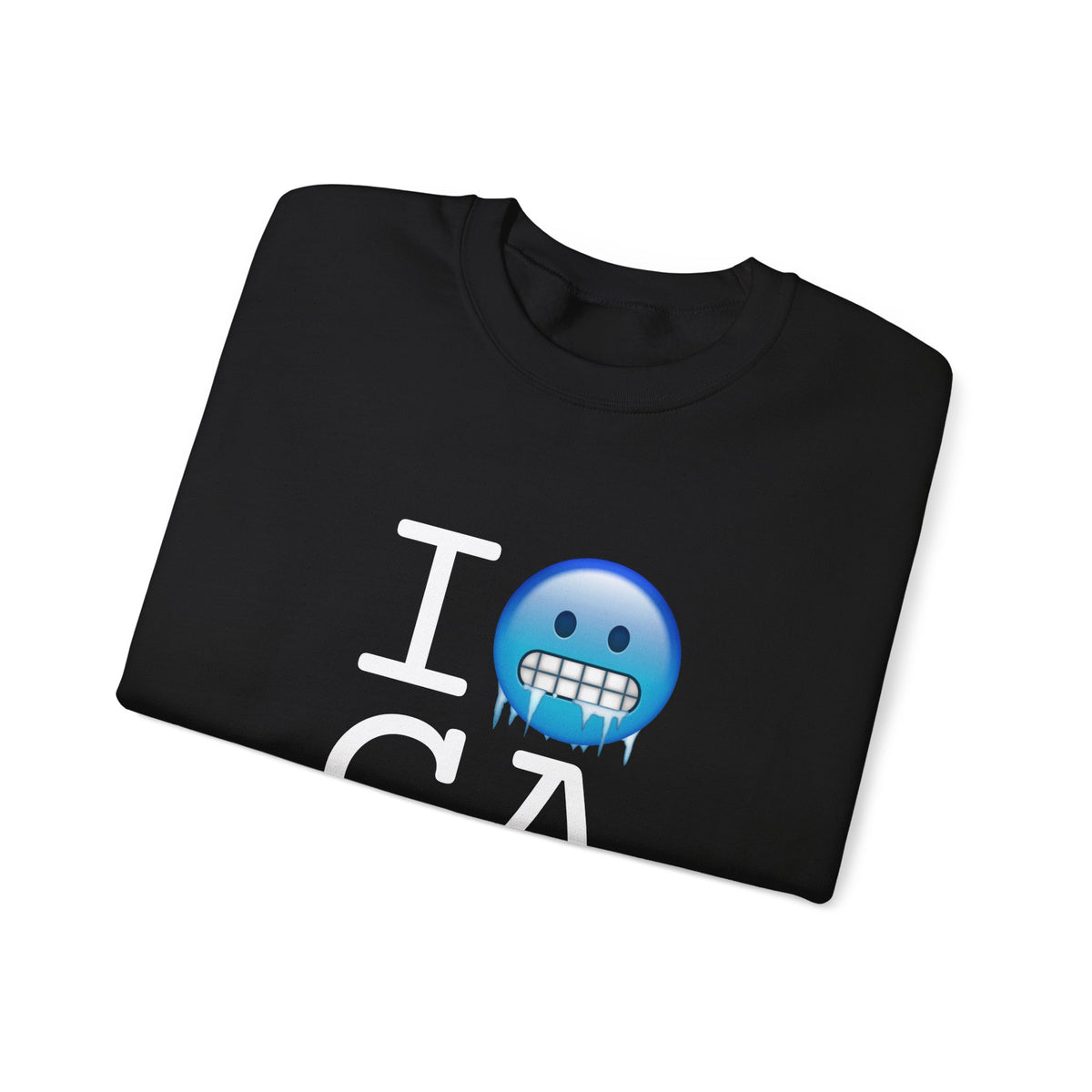"I'm Cold in Georgia" Sweatshirt