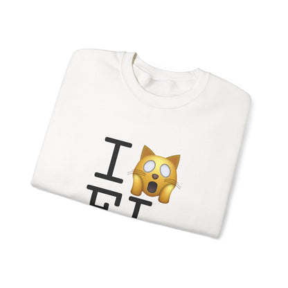 "I'm a Scaredy Cat about Florida" Sweatshirt