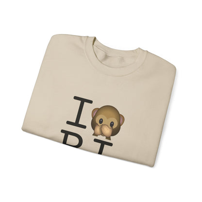"I Don't Speak about Rhode Island" Sweatshirt