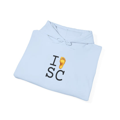 "I Foot South Carolina" Hoodie