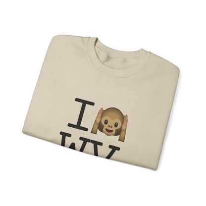 "I Don't Hear West Virginia" Sweatshirt