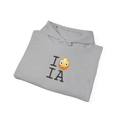 "I'm Embarrassed by Iowa" Hoodie