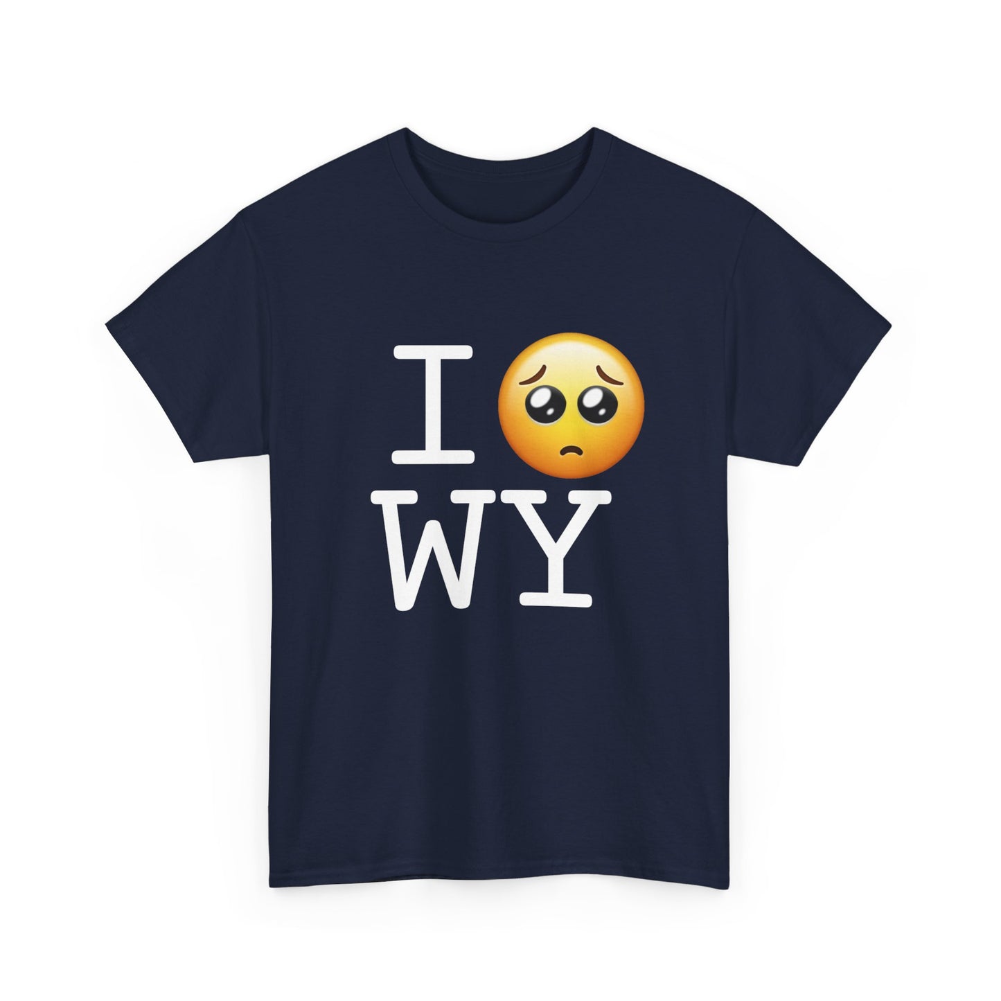 "I'm Begging about Wyoming" Tee