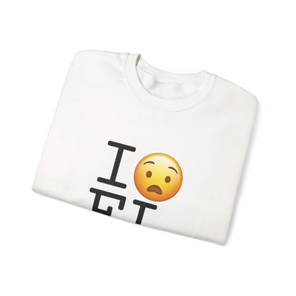 "I'm Anguished about Florida" Sweatshirt